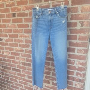 LOFT Light Blue Straight Jeans